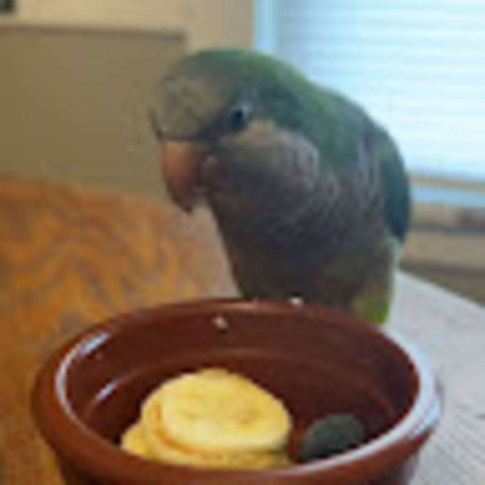 Meet your Posher, Logan